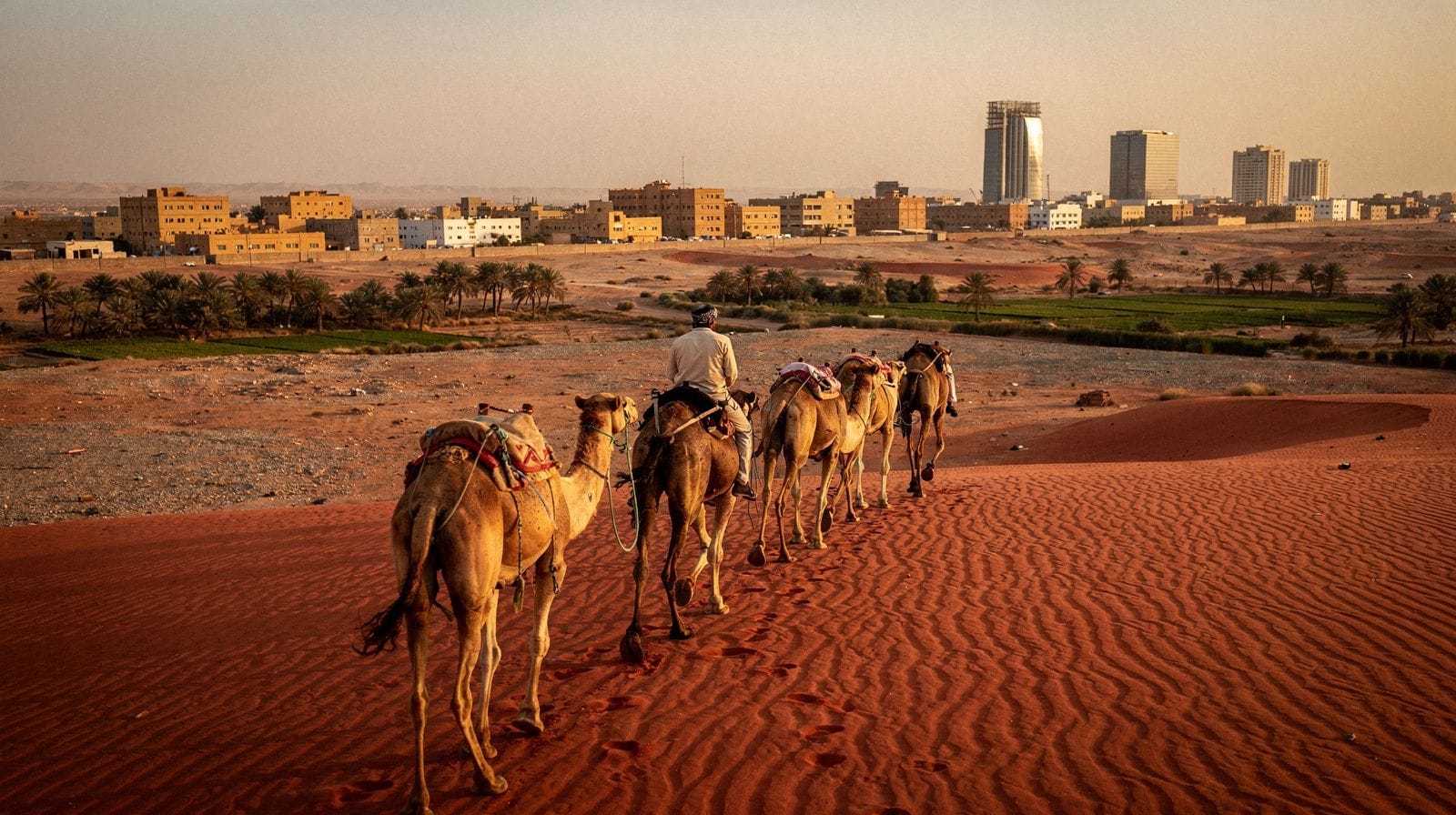 Camel and horse rides