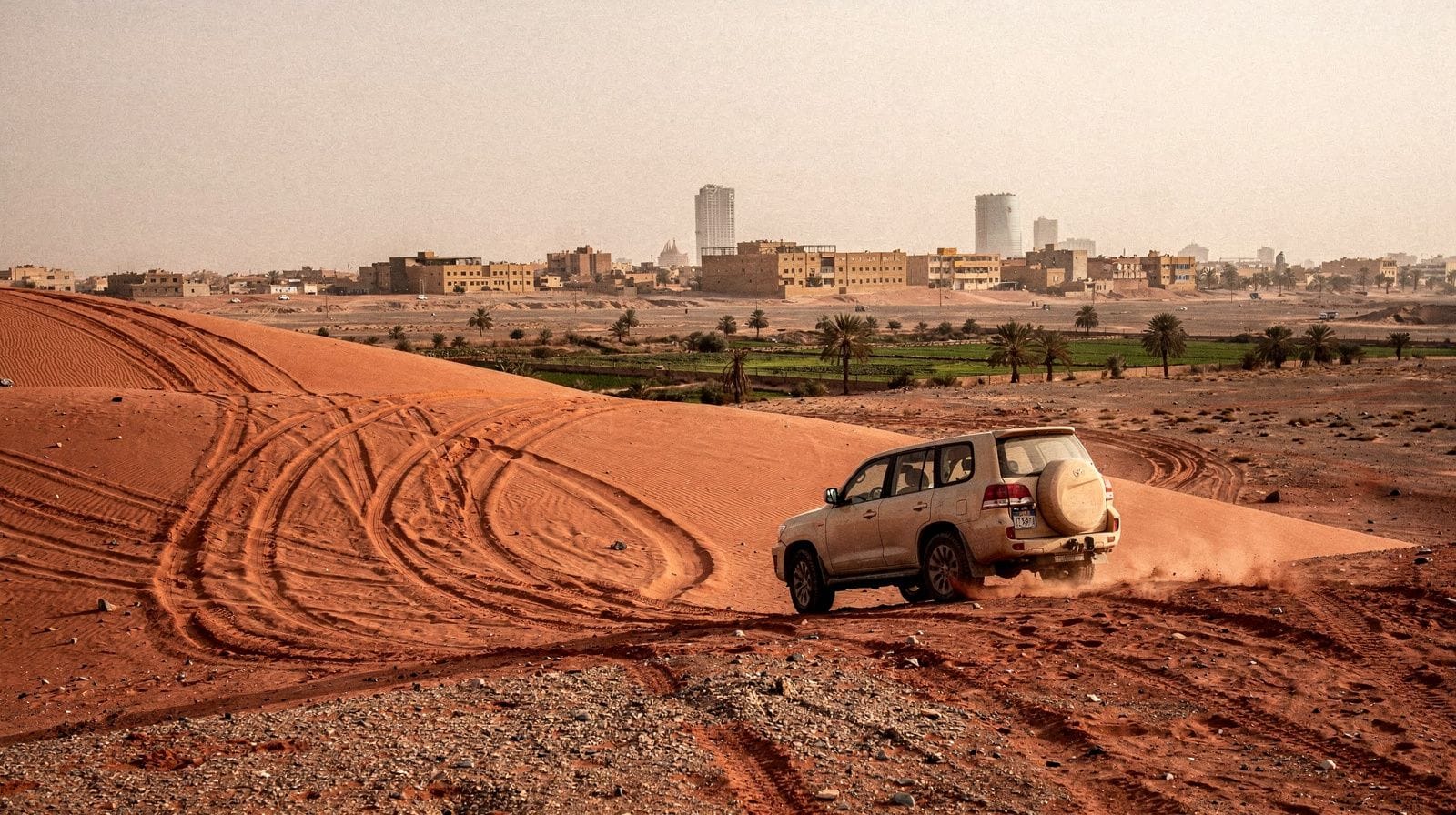 Desert safaris and dune bashing