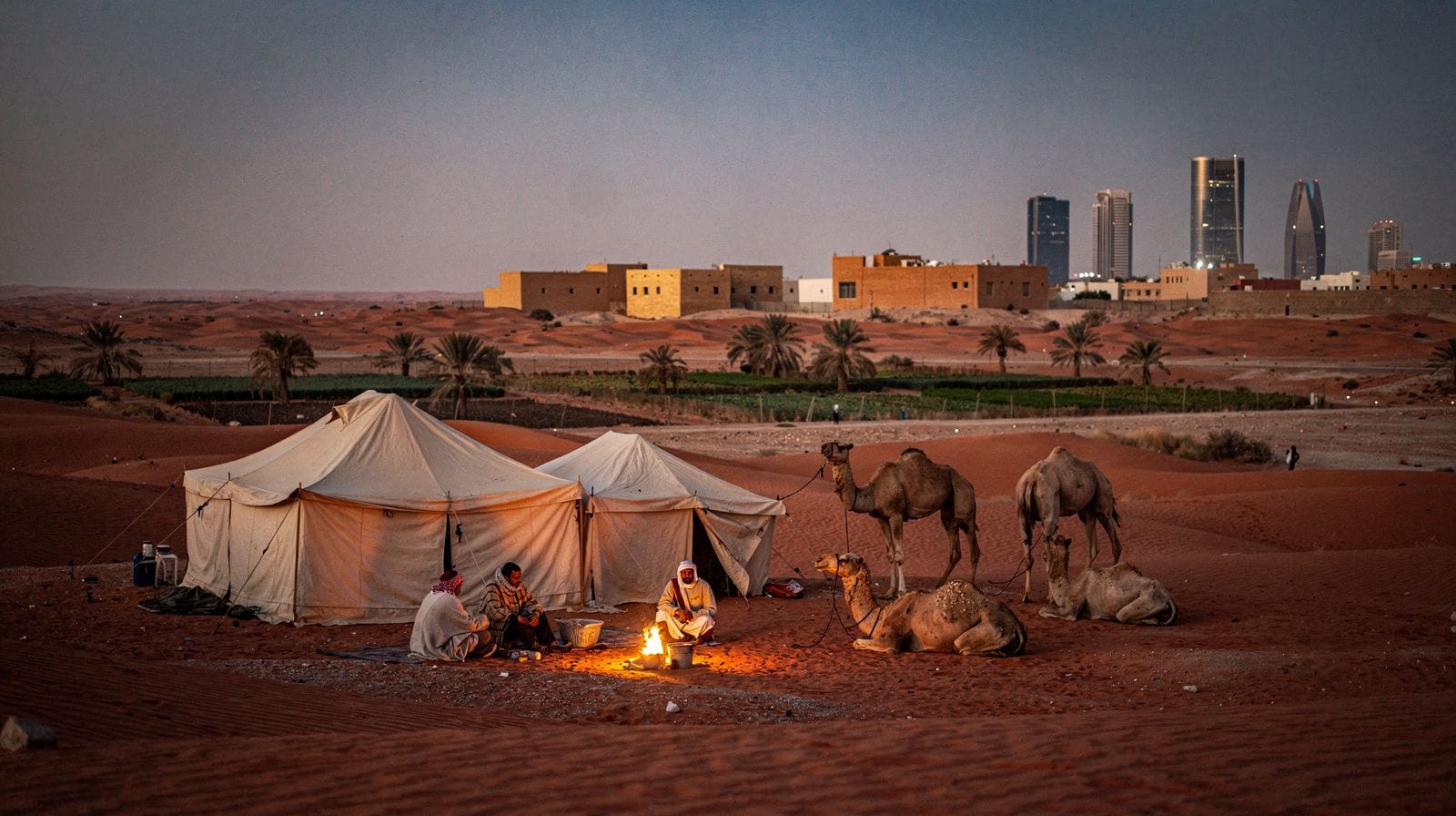 Multi-day tours from Riyadh