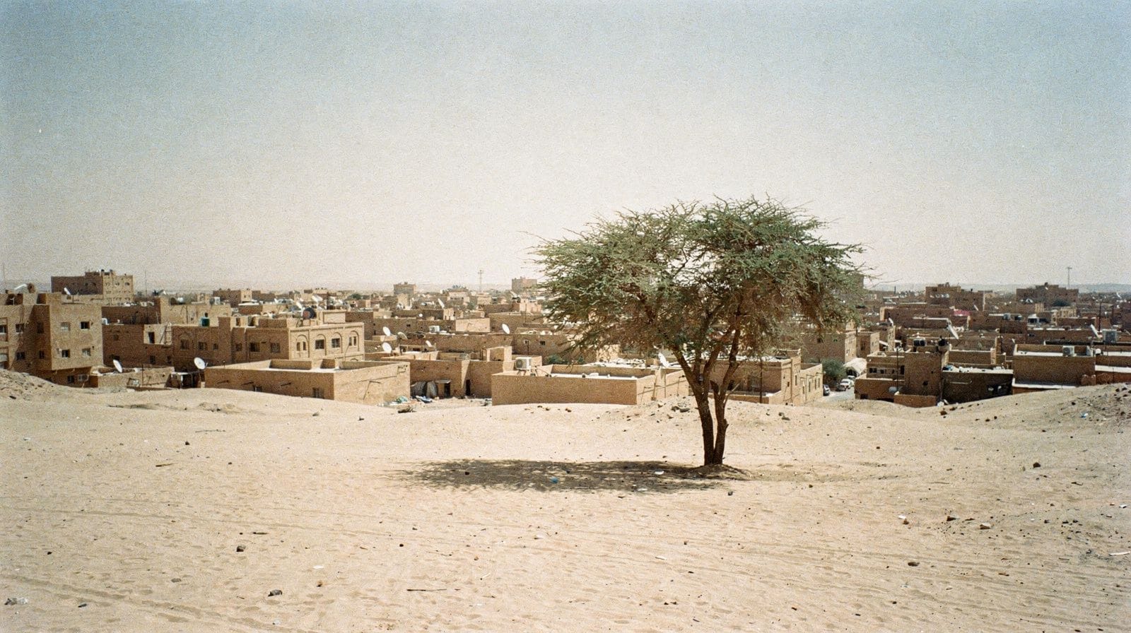 Best time to visit Riyadh: seasons, heat and Riyadh Season
