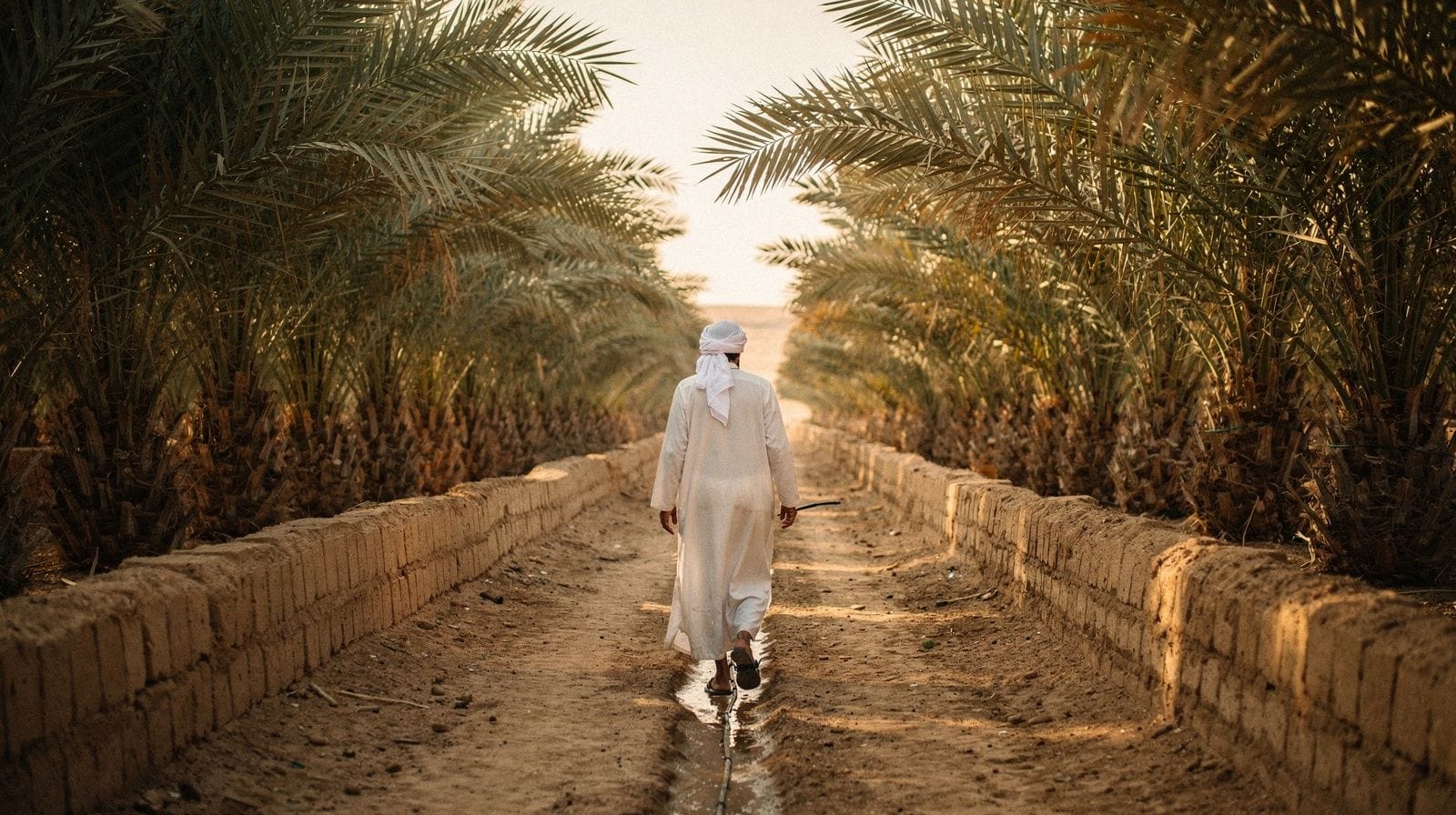 Al-Qassim day trip from Riyadh: is it worth the drive?